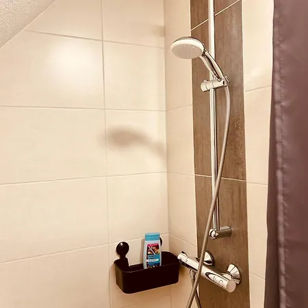 Swiss דירה רוסט